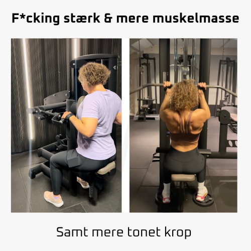 Ko2.0 Klient rejser - HP (1)