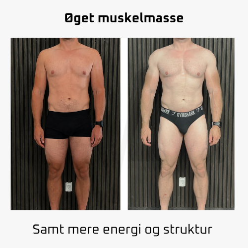 Ko2.0 Klient rejser - HP (2)